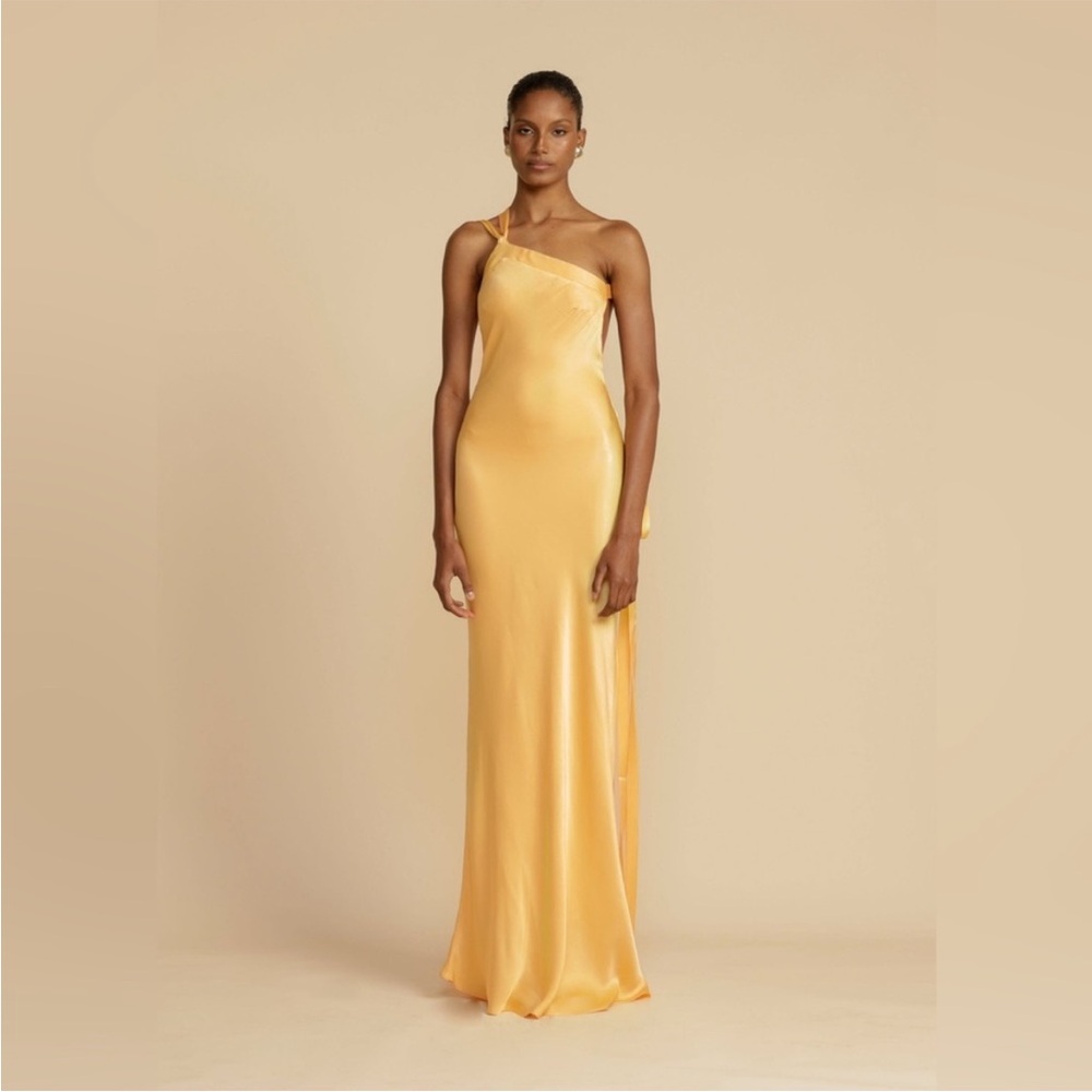 CELESTIAL silk maxi dress